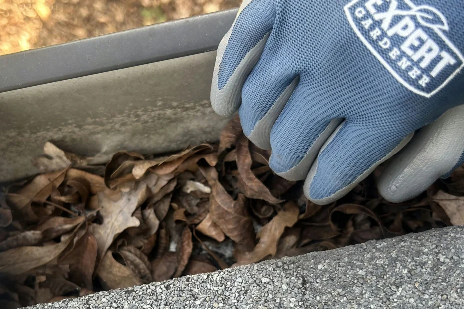 Gutter Cleaning West Lake Hills