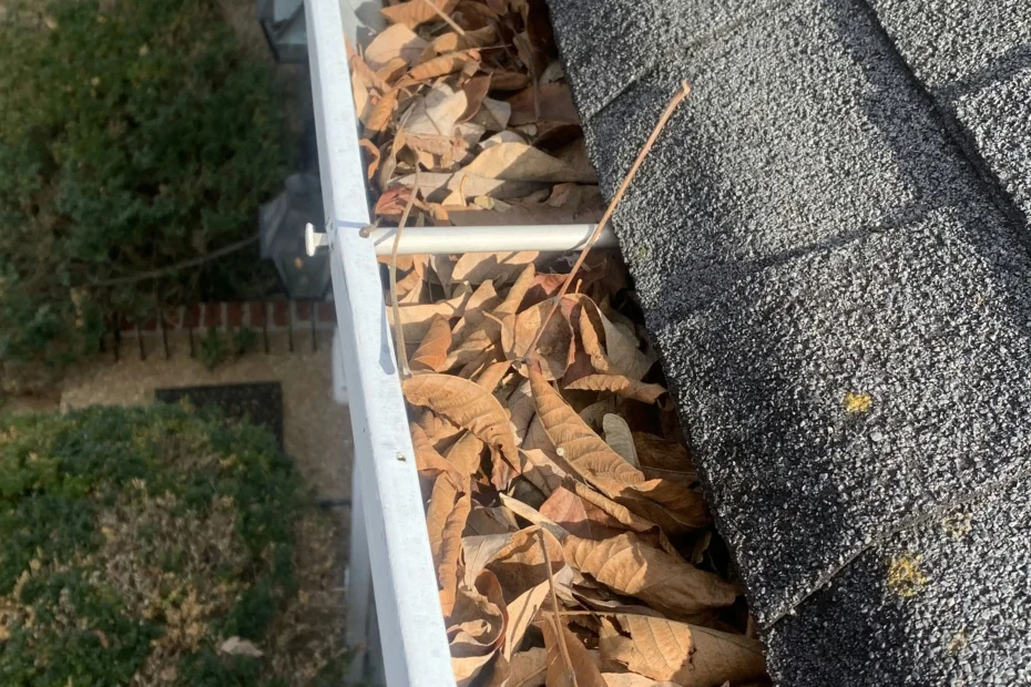 Gutter Cleaning West Lake Hills